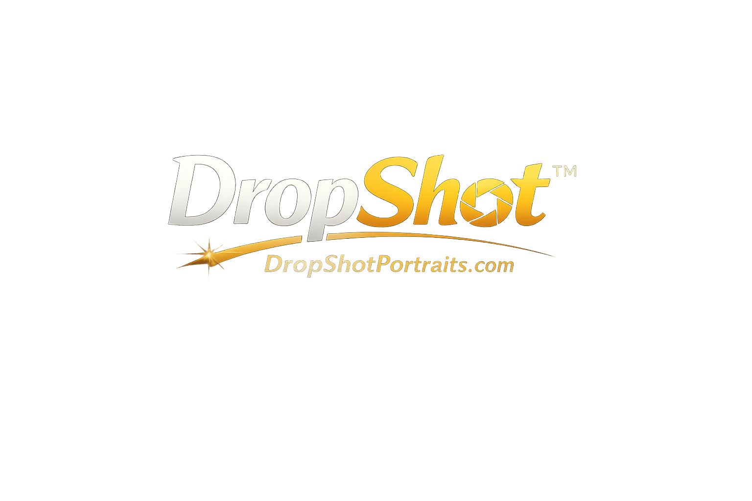 DropShot logo